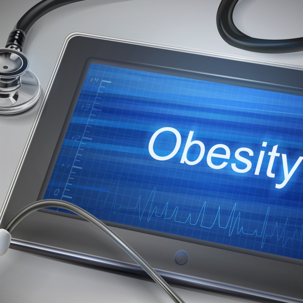 obesity and technology Health systems are typically made up of a variety of healthcare providers, insurance plans, delivery systems, and information technologies. obesity and technology Health systems are typically made up of a variety of healthcare providers, insurance plans, delivery systems, and information technologies.